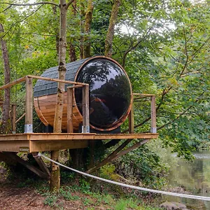 Glamping At The Grove, And Glamping